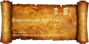Kapronczai Béla névjegykártya
